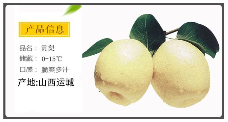 山西贡梨纯甜发市场实力代办代收代发水果店批