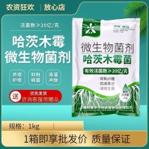 哈茨木霉菌微生物菌剂防根腐促生根抗重茬改良土壤有益菌