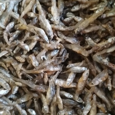 油炸小麦穗鱼不苦不生沙鲜鱼油炸