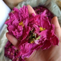 白芍花瓣茶白芍花球茶白芍花茶美容花瓣花草茶一件代发