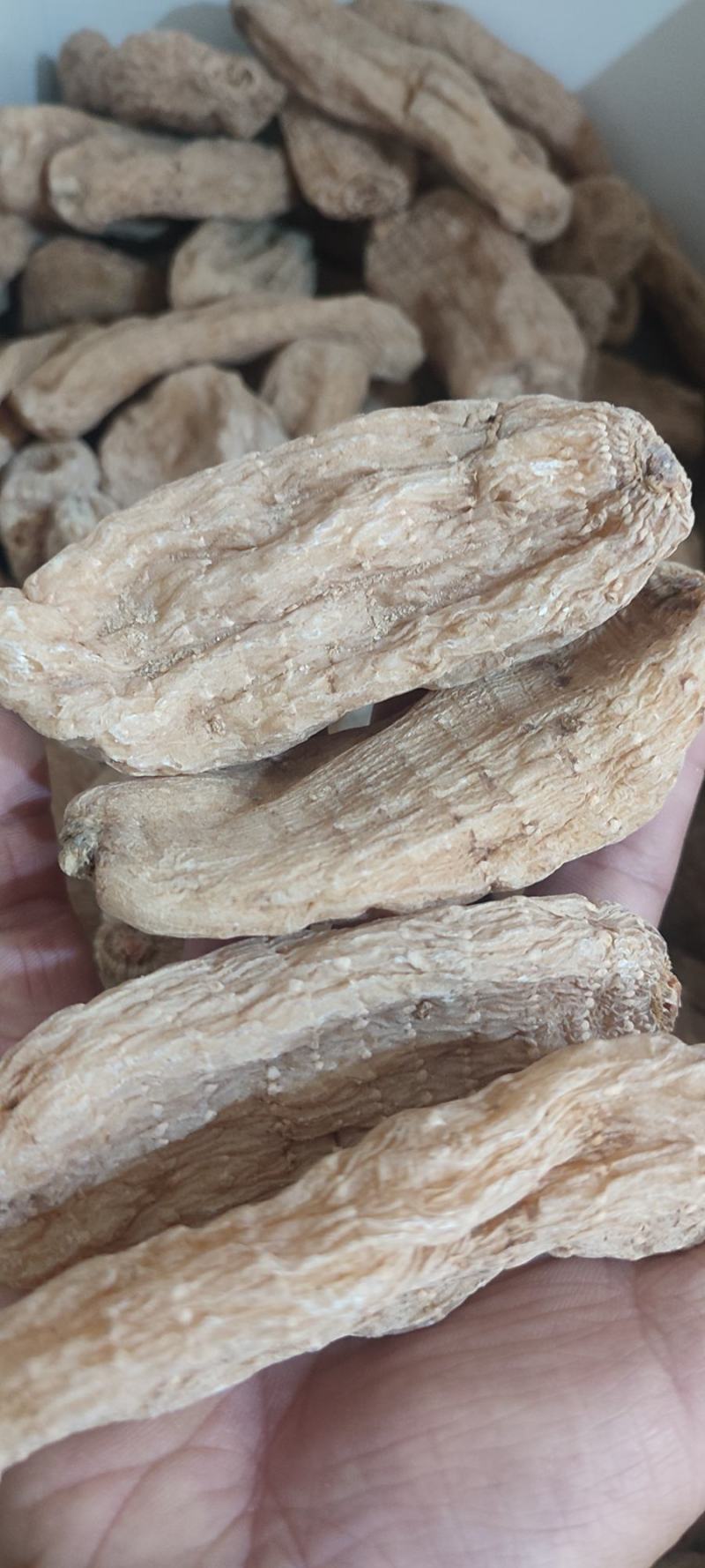 正宗云南红天麻15个10个8个6个一斤可免费切片打粉包邮