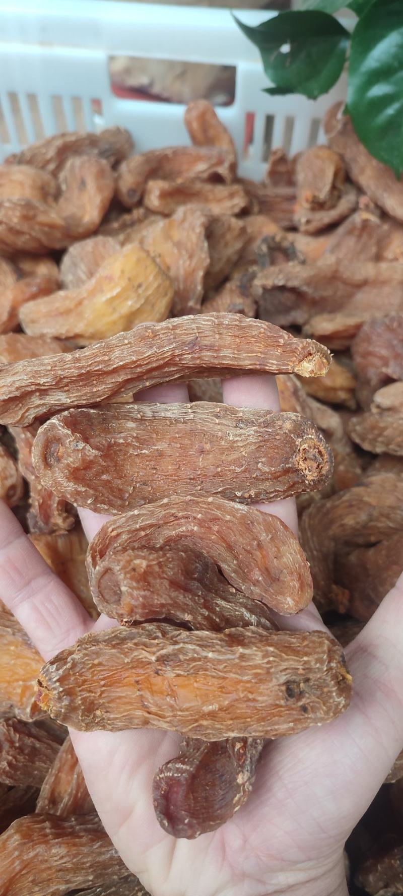 正宗云南红天麻15个10个8个6个一斤可免费切片打粉包邮