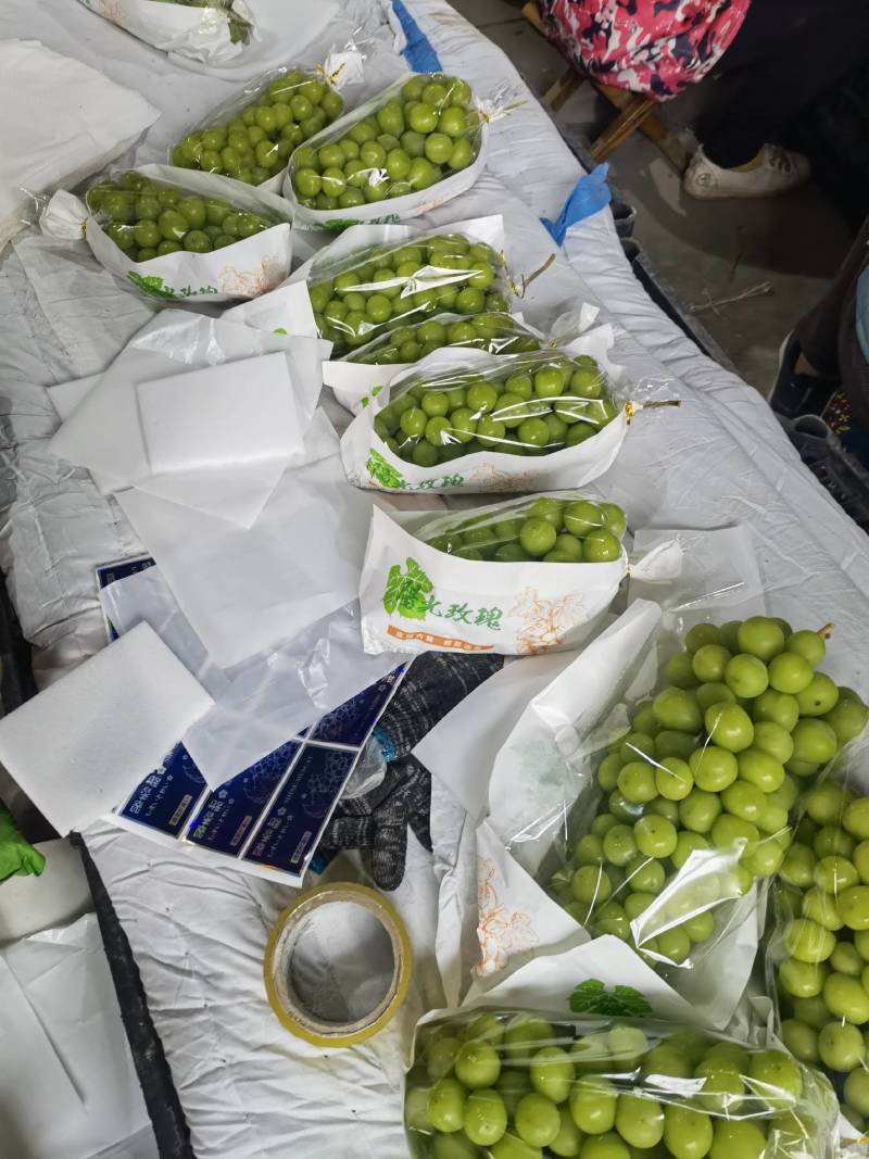 陕西阳光玫瑰葡萄，质量保证价格实惠，欢迎洽谈