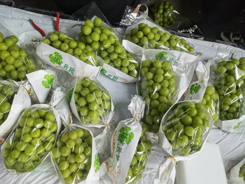 陕西阳光玫瑰葡萄，质量保证价格实惠，欢迎洽谈