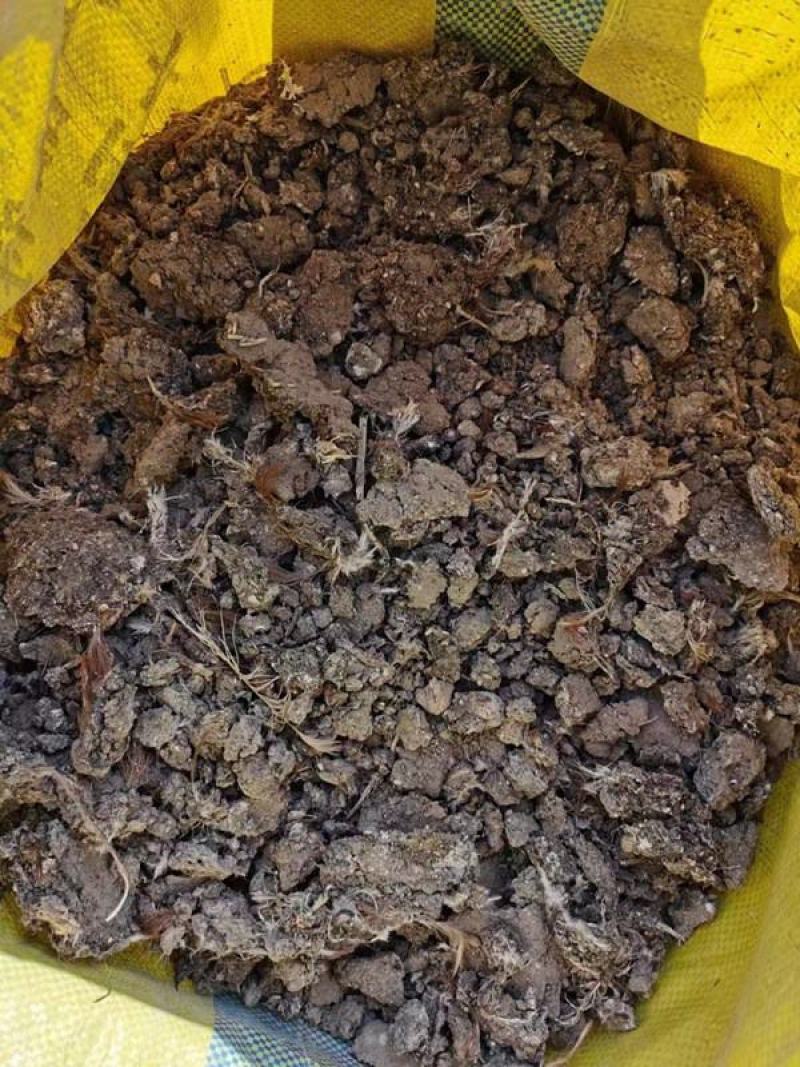 纯鸡粪晾晒鸡粪无杂质大棚蔬菜果树种植用肥
