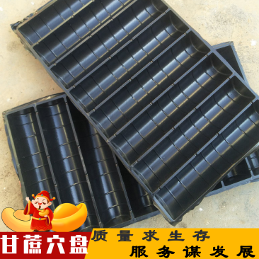 甘蔗育苗穴盘,黑皮甘蔗育苗穴盘。甘蔗苗穴盘,甘蔗专用穴盘