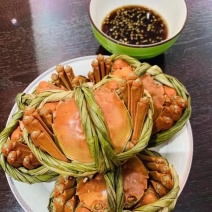 江苏红膏大闸蟹鲜活螃蟹现捞现发全国包邮