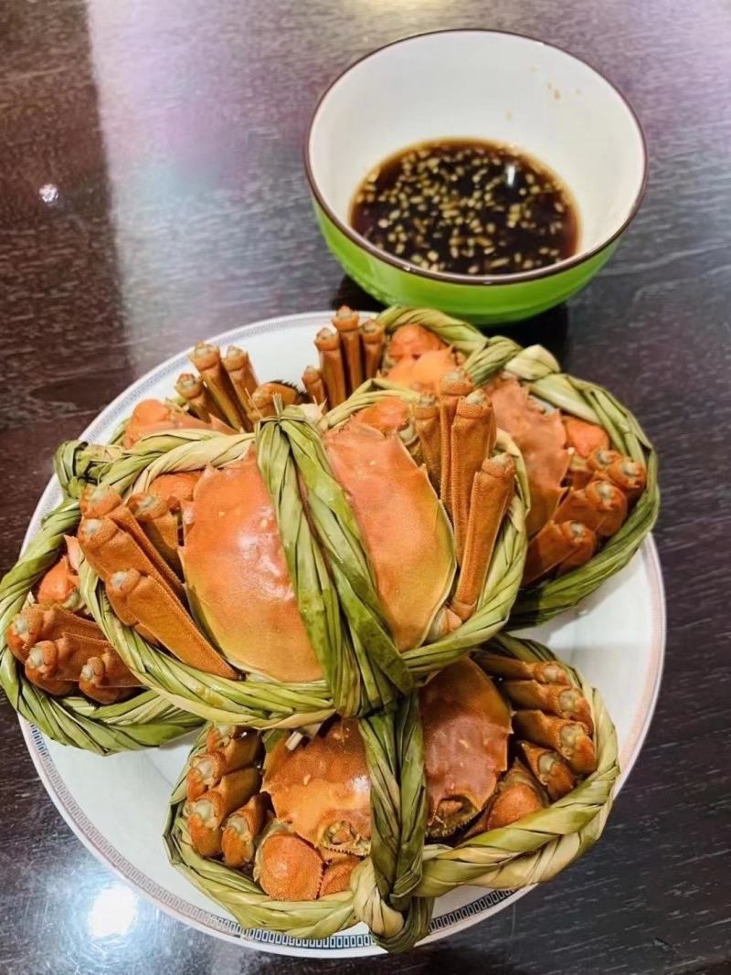 江苏红膏大闸蟹鲜活螃蟹现捞现发全国包邮