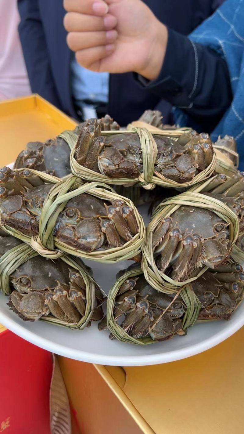 江苏红膏大闸蟹鲜活螃蟹现捞现发全国包邮