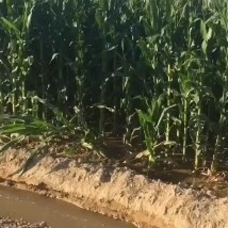 坐标哈萨克斯坦24000亩土地出租不分包