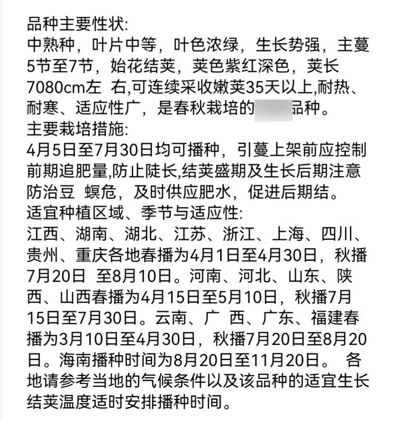 春秋红豇豆种子紫红耐热耐寒长豆角种子基地专用
