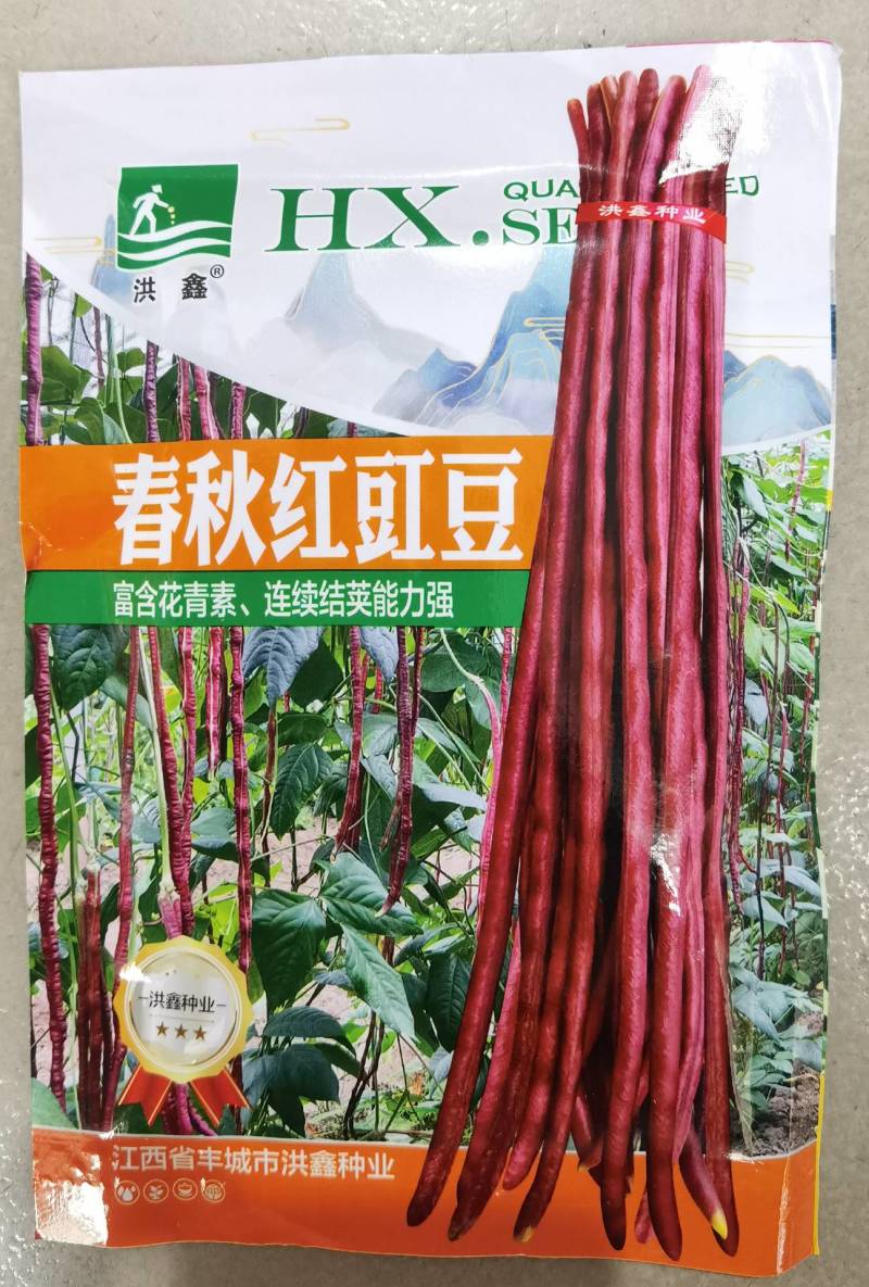 春秋红豇豆种子紫红耐热耐寒长豆角种子基地专用