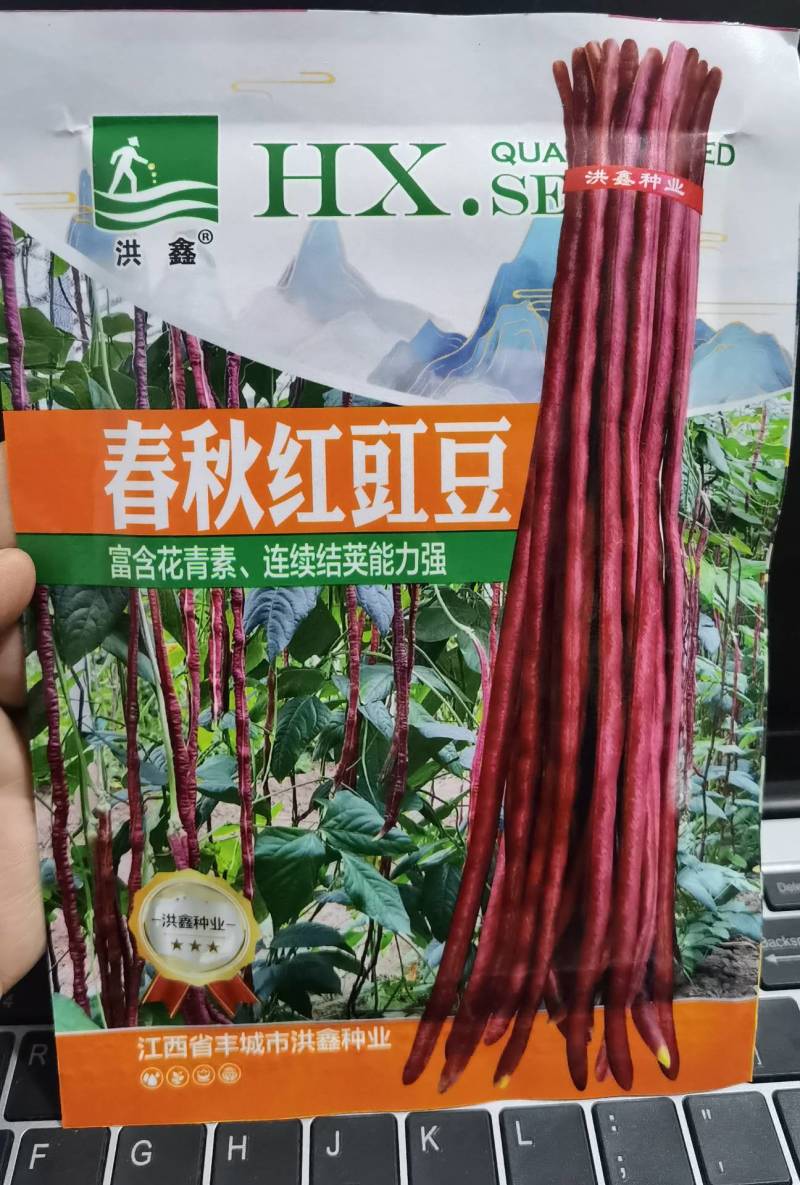 春秋红豇豆种子紫红耐热耐寒长豆角种子基地专用