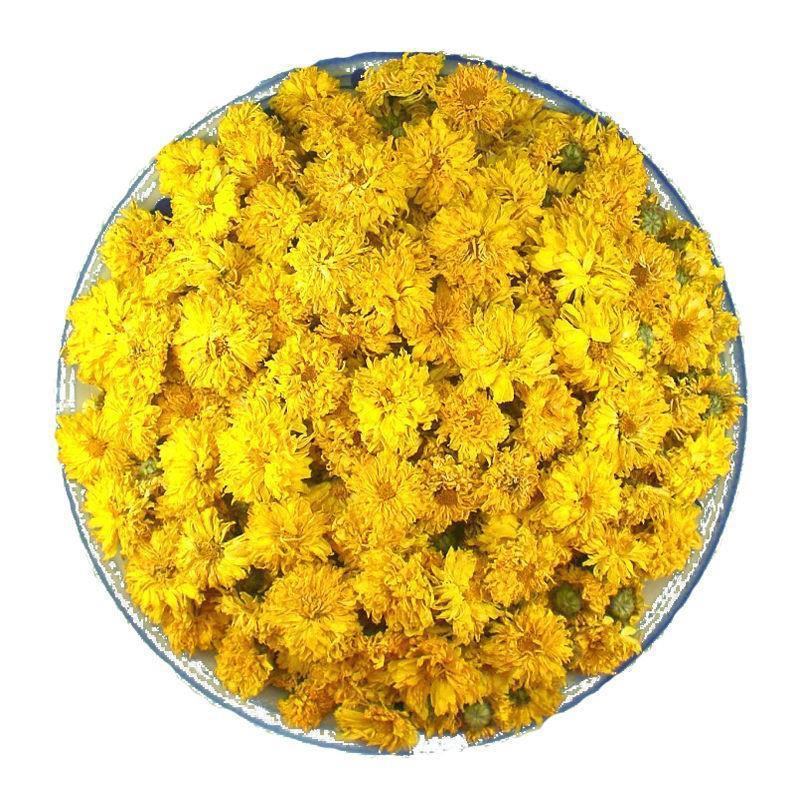 婺源黄菊金丝皇菊黄菊花自产自销