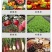 叶面肥聚谷氨酸每瓶10,快速膨果，生根壮根，抗病抗逆