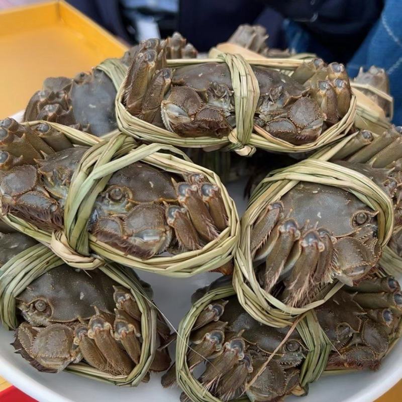 江苏红膏大闸蟹鲜活螃蟹当天捕捞当天发货全国包邮