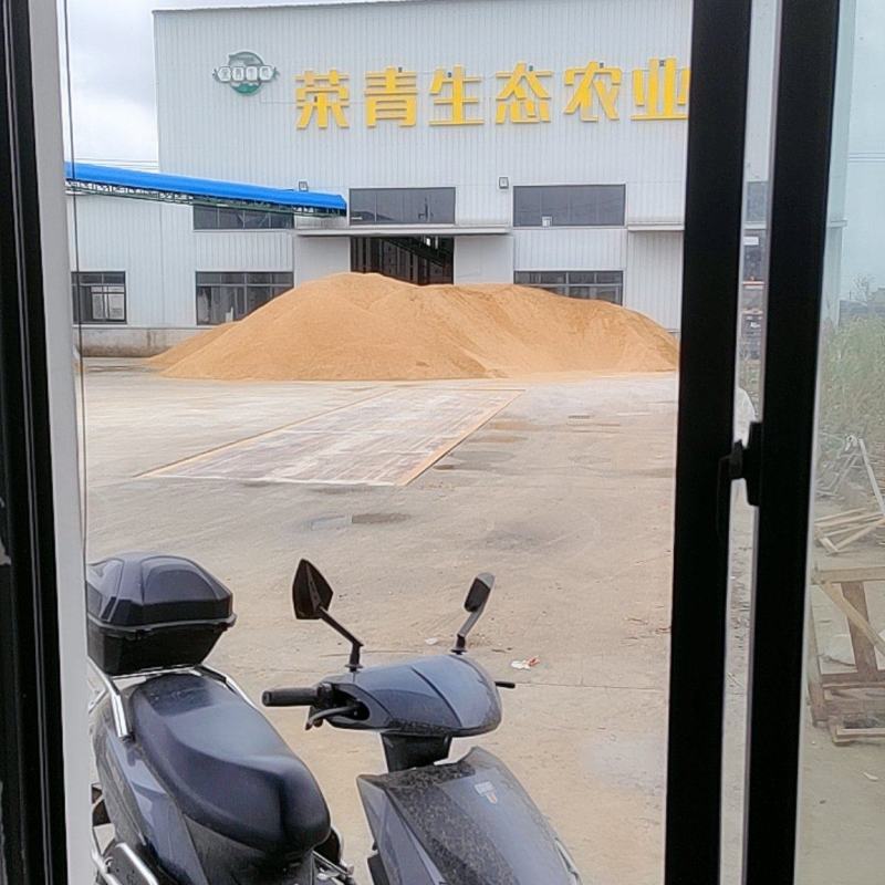 饲料稻谷