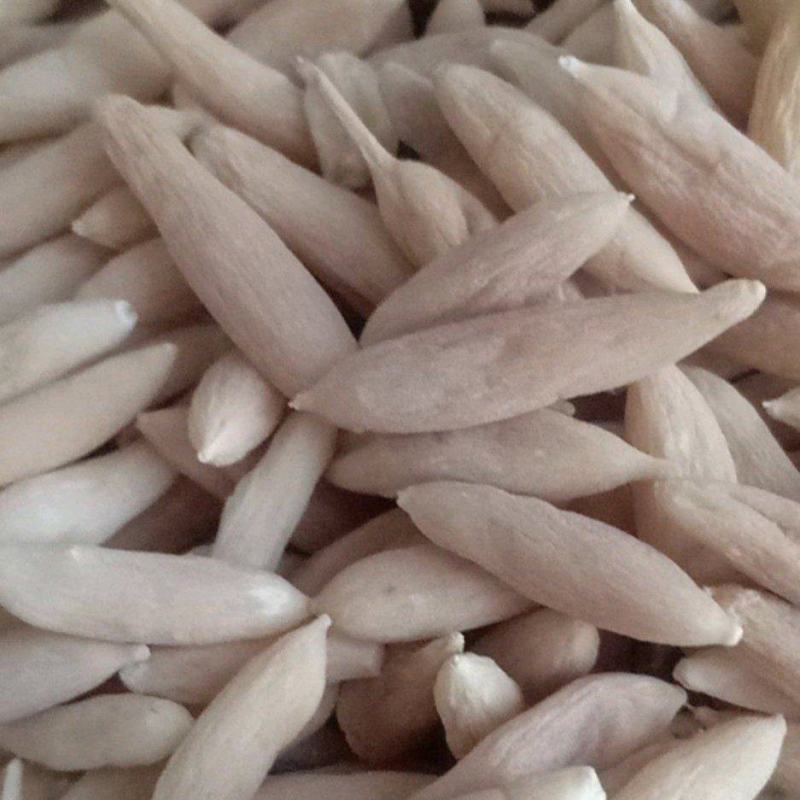 麦冬，自然晾晒产地直供麦冬，精选麦冬全国发货