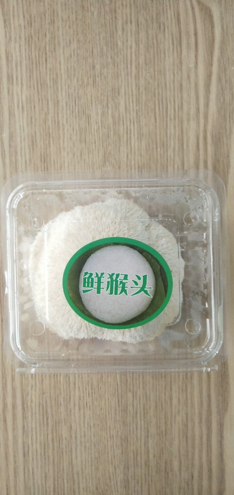 新鲜有机猴头菇煲汤原料养胃非野生干货