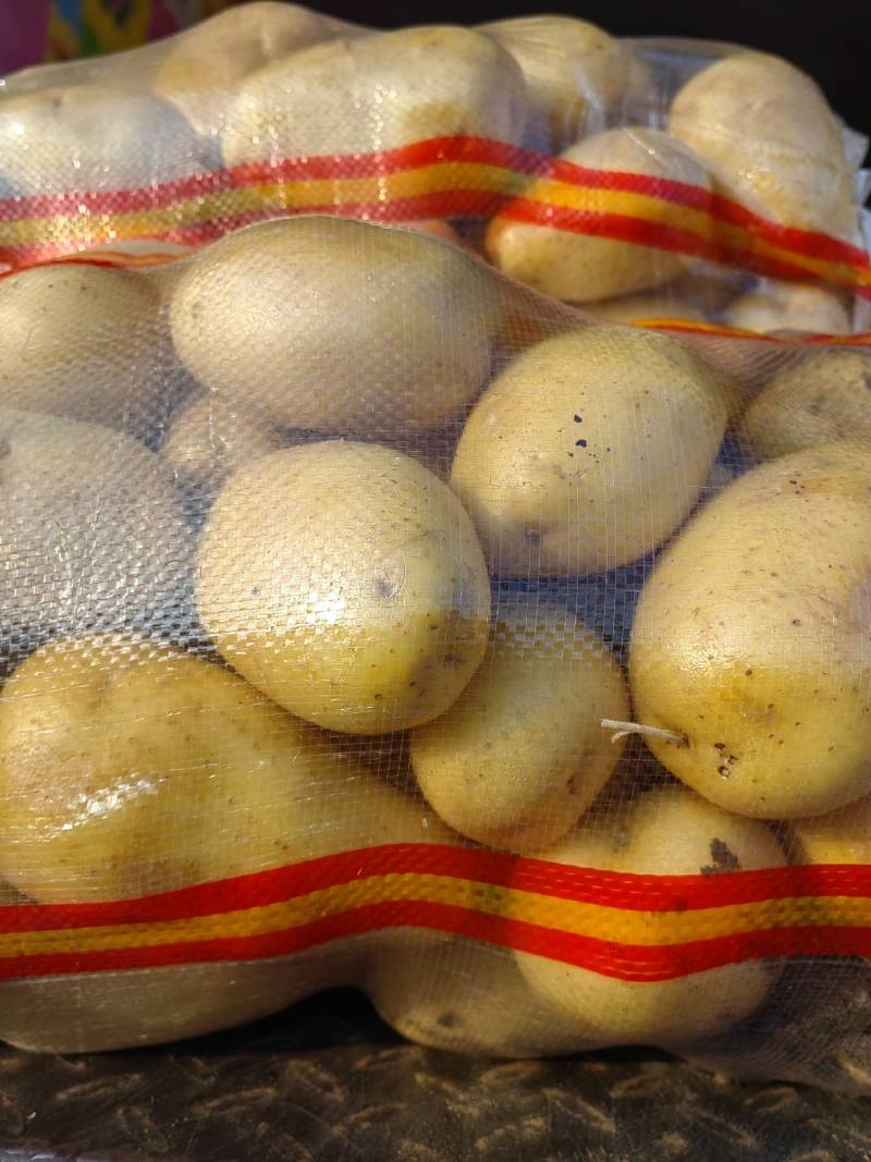大家好，北京种子公司，V7土豆种子，品种多，保质量，