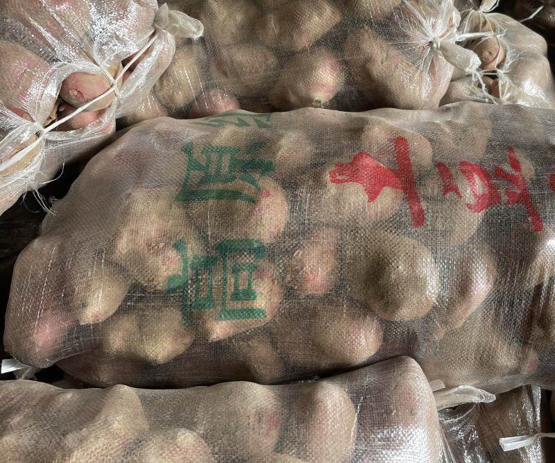 黄心土豆