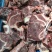 满肉牛脖骨，牛脖骨肉骨头，加肉牛骨，牛骨头