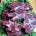 满肉牛脖骨，牛脖骨肉骨头，加肉牛骨，牛骨头