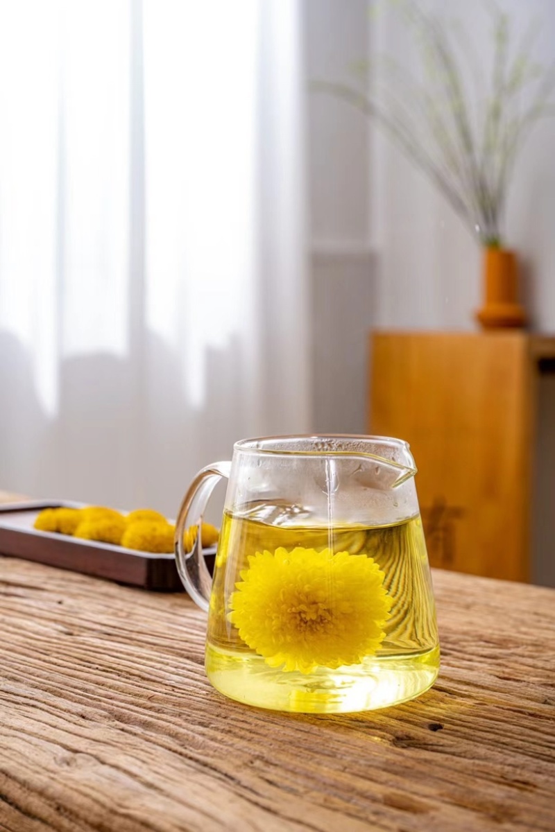 金蕊皇菊新花菊花茶花草茶一朵杯贡菊茶叶支持线上代发