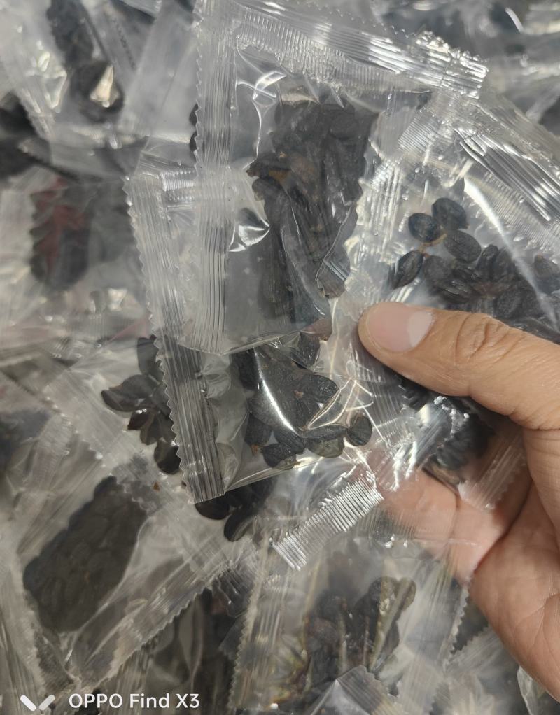绣球花种子绣球花种籽子四季播种花籽一年都开花种植庭院易活
