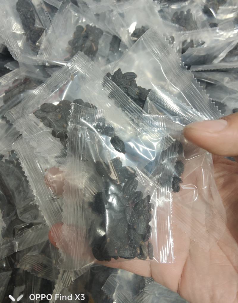 绣球花种子绣球花种籽子四季播种花籽一年都开花种植庭院易活