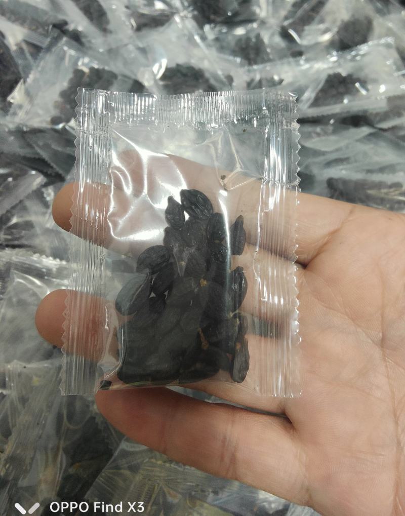 绣球花种子绣球花种籽子四季播种花籽一年都开花种植庭院易活
