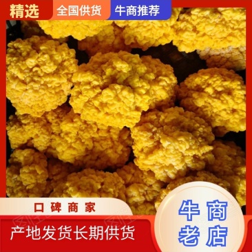 基地金耳菌量大从优长期供货欢迎全国老板前来考察洽
