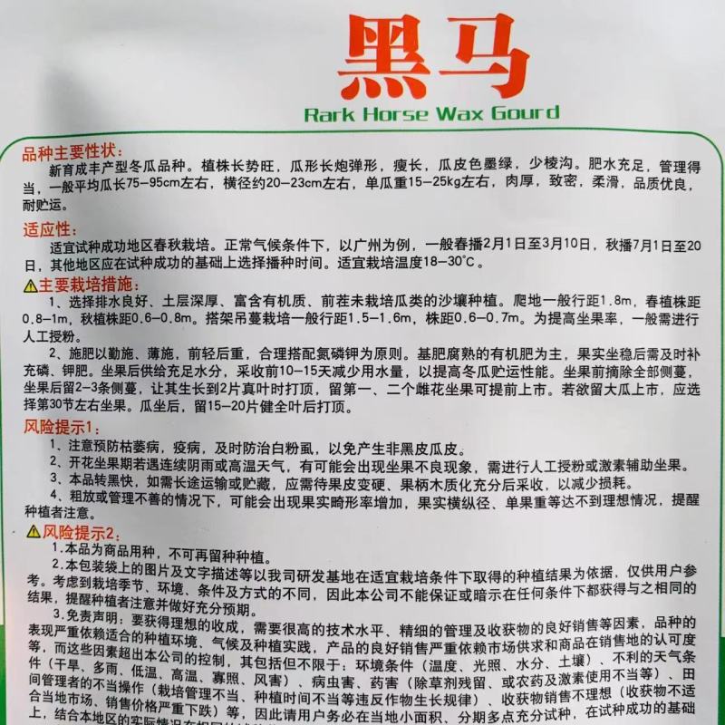 绿亨黑马冬瓜种子特大号黑皮冬瓜种子丰产型墨绿皮长炮弹形