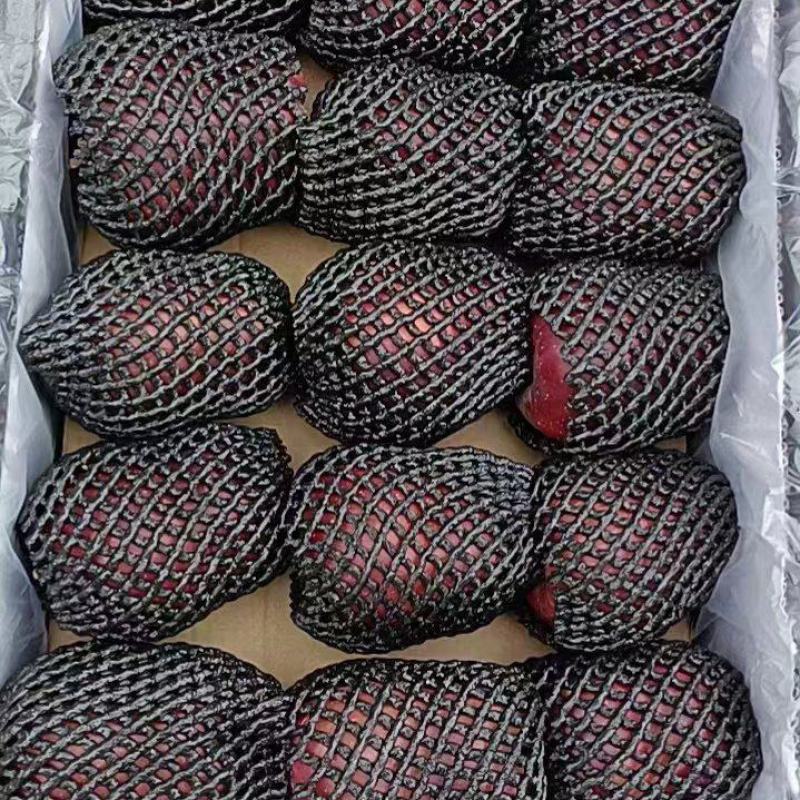 甘肃花牛苹果大量上市量大价优欢迎咨询服务