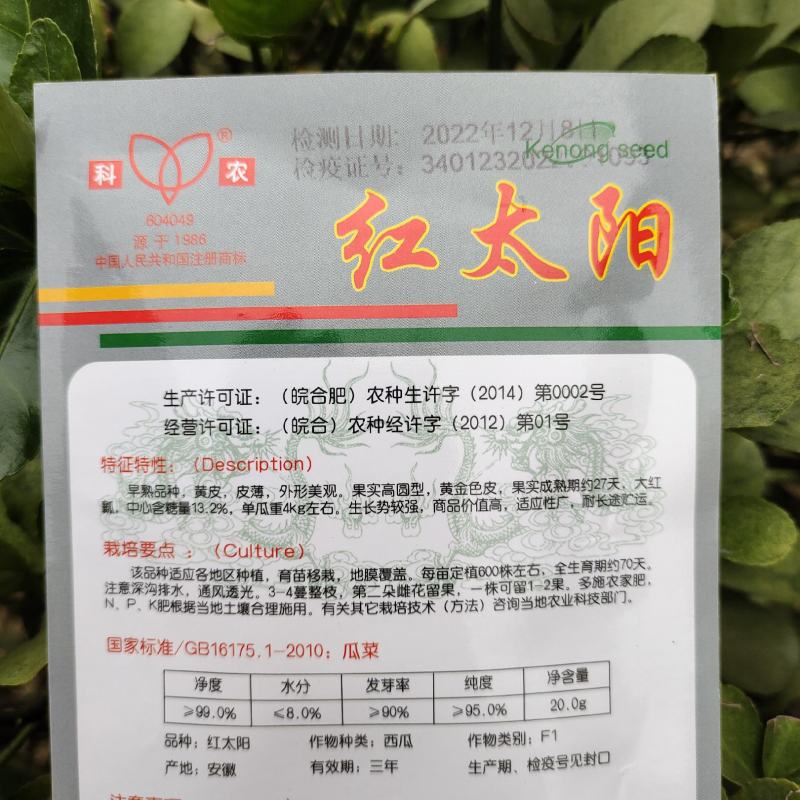 【西瓜种子】红太阳黄皮红瓤超甜西瓜种籽早熟南方四季种子