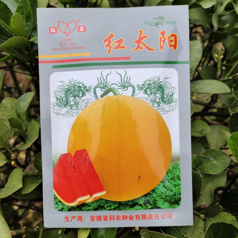 【西瓜种子】红太阳黄皮红瓤超甜西瓜种籽早熟南方四季种子