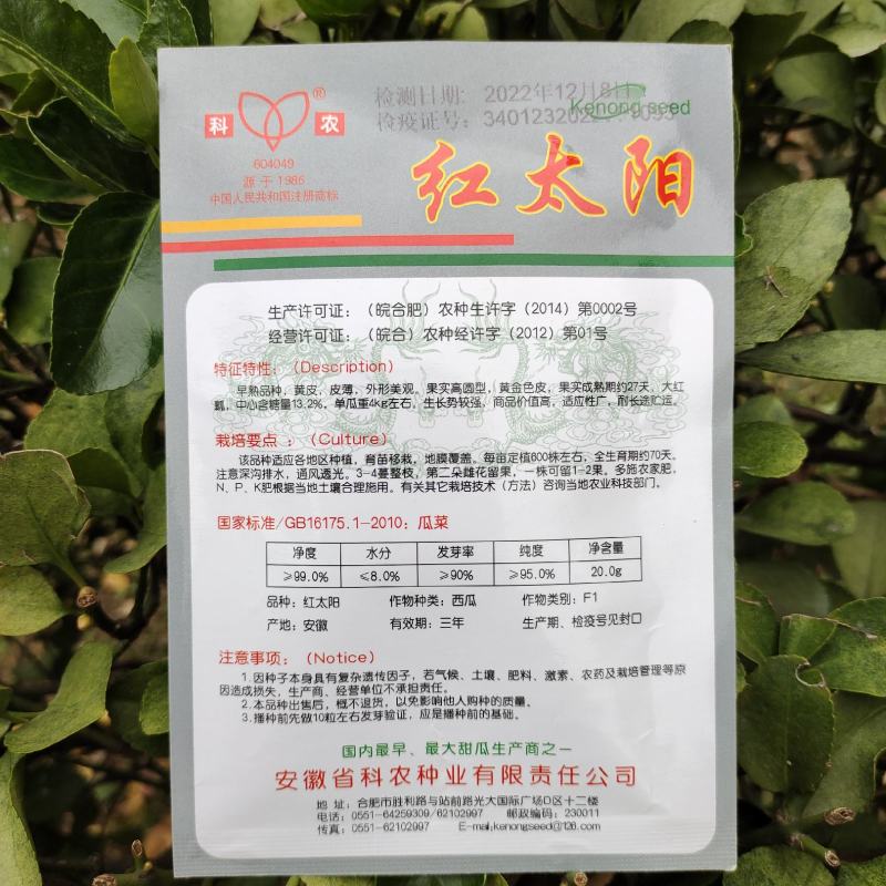 【西瓜种子】红太阳黄皮红瓤超甜西瓜种籽早熟南方四季种子