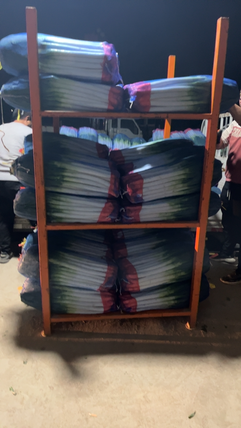 安丘精品粗高净葱大量有货，无细葱，无断葱，里外一样