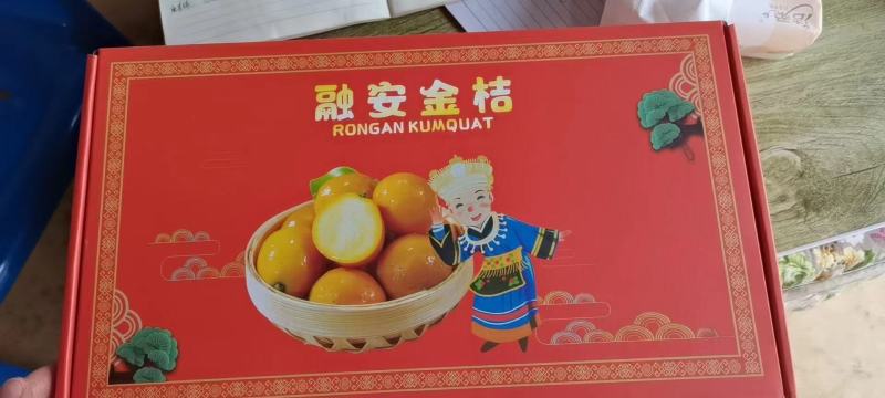 柳州融安土特产脆密金柑产地直发价格美丽口感香甜