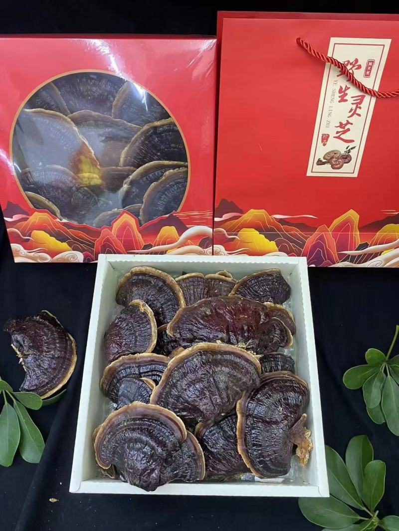 产地货源金边香芝，热卖一件代发欢迎选购