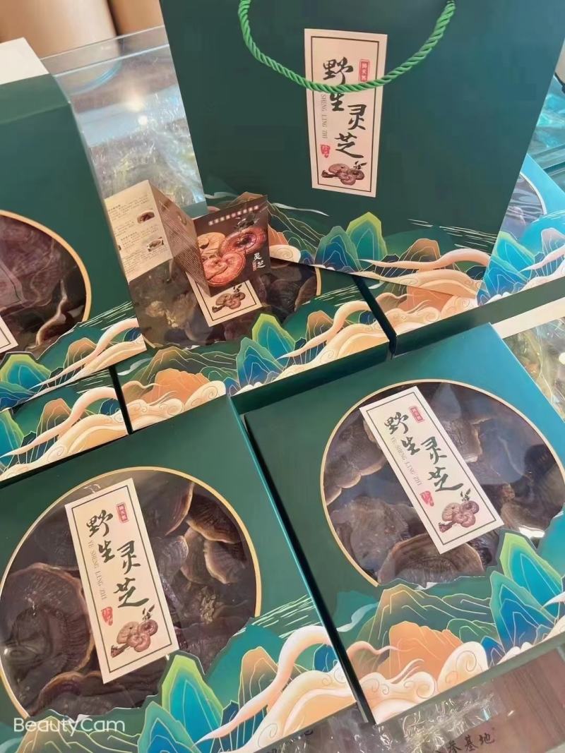 产地货源金边香芝，热卖一件代发欢迎选购