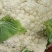 云南有机花菜（松花菜）大量有货价格美丽
