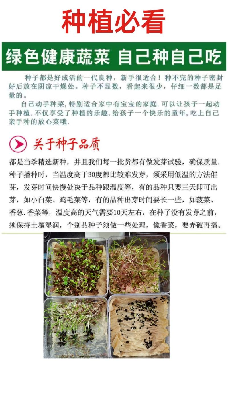 绿眉豆种子扁豆种子峨眉豆种子农家庭院阳台种植蔬菜种子