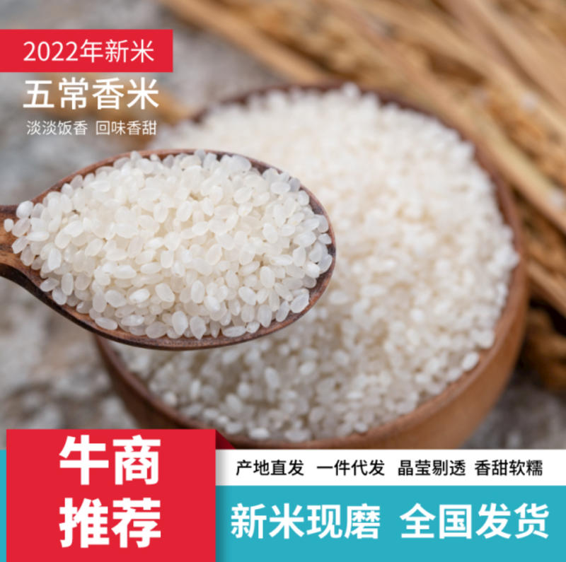 2022新米五常大米稻花香/一件代发批发/全国发货