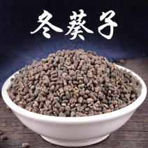 冬葵子，筒麻子，冬葵子批发，产地货源，量大价优，冬葵子