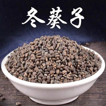 冬葵子，筒麻子，冬葵子批发，产地货源，量大价优，冬葵子