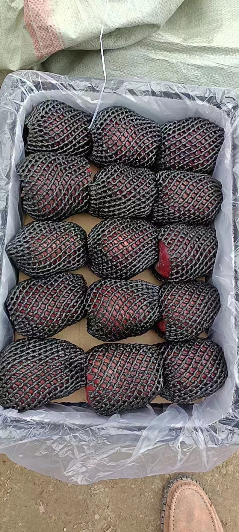 甘肃花牛辽宁黄元帅陕西红富士各种苹果都有