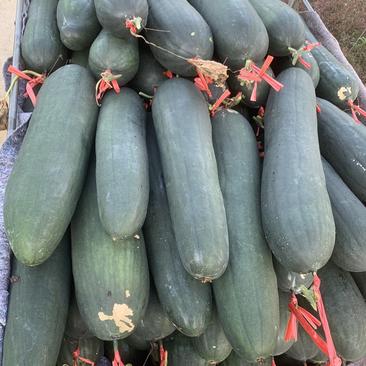 大家好，福建省顺昌县还有2000亩黑皮冬瓜没有销售。
