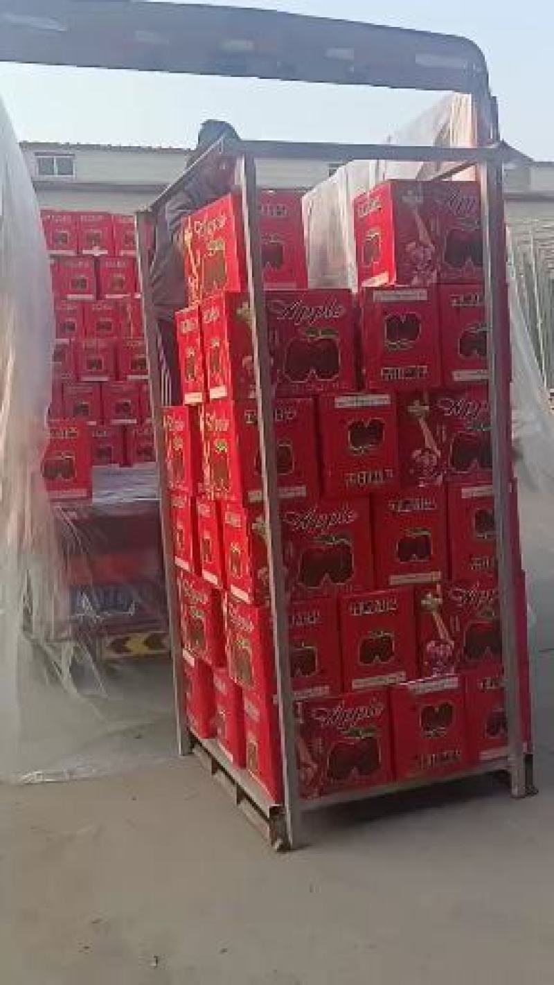 优质苹果大量上市量大价优欢迎咨询下单