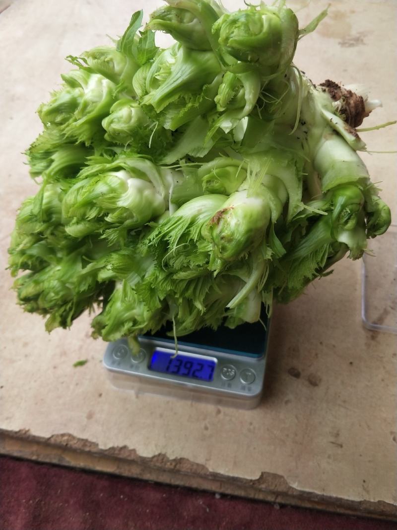 小心小儿上市中，欢迎来电